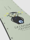 Salomon Abstract Snowboard