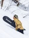Bataleon Surfer Snowboard