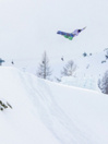 Bataleon Goliath 2025 Snowboard