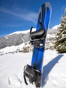 Bataleon Goliath Snowboard
