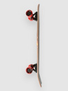 Santa Cruz Flame Dot Check Shark 8.8″ Complete