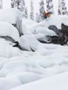 Jones Snowboards Flagship 2025 Snowboard