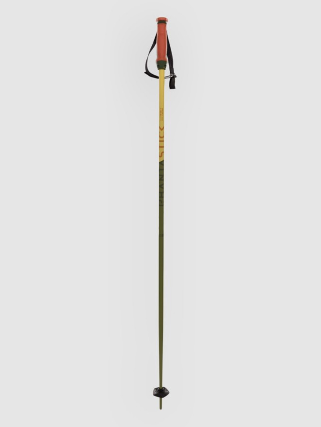 Völkl Phantastick 16mm Poles 2025 Ski Poles