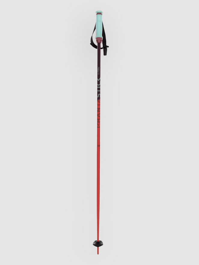 Völkl Phantastick 16mm Poles 2025 Ski Poles