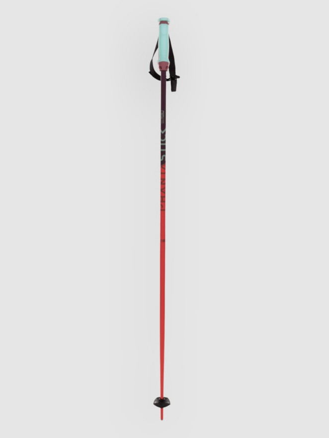 Völkl Phantastick 16mm Poles 2025 Ski Poles