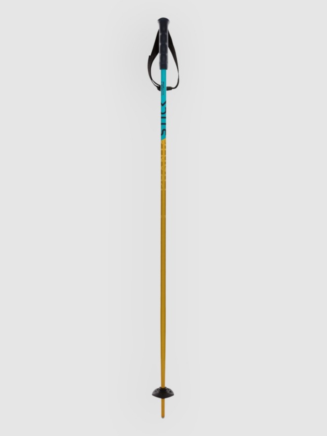 Völkl Phantastick Jr Poles 2025 Ski Poles