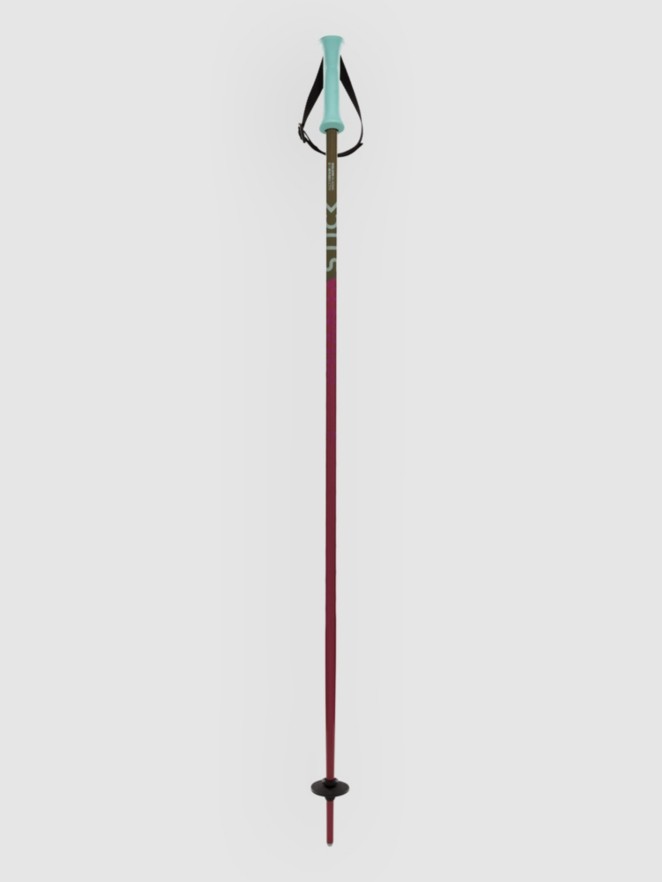 Völkl Phantastick Kids Poles 2025 Ski Poles