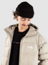 THE NORTH FACE Hydrenalite Down Hoodie Giacca