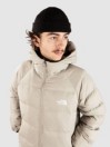 THE NORTH FACE Hydrenalite Down Hoodie Takki