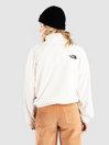 THE NORTH FACE 100 Glacier Half Zip Half-Zip Fleece Pullover
