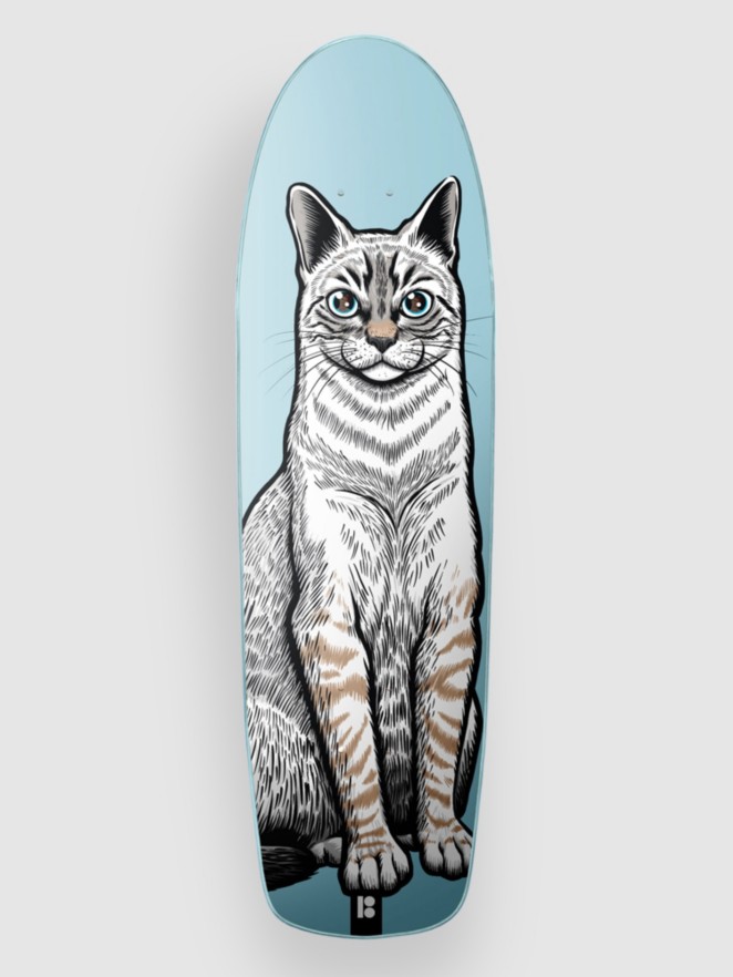 Plan B Chin 8.5"X29" Skateboard Deck