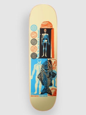 Skeleton David Langston 8.25&amp;#034;X31.65&amp;#034; Skateboard Deck
