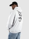 Vans Fun Gfx Loose Po Hoodie