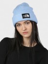 THE NORTH FACE Salty Dog Lined Beanie