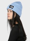 THE NORTH FACE Salty Dog Lined Beanie