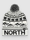 THE NORTH FACE Ski Tuke Bonnet