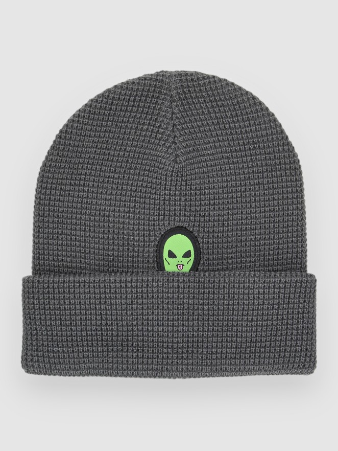 RIPNDIP Lord Alien Beanie