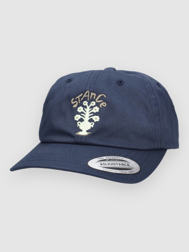 Stance Standard Adjustable Cap