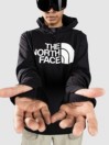 THE NORTH FACE Tekno Logo Shred Hoodie