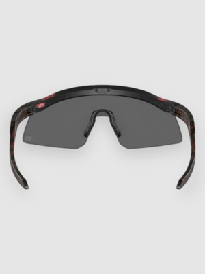 Hydra Fq Matte Black Solbriller