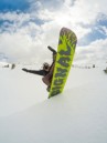 Signal Park Pro Snowboard