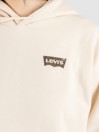 Levi's Graphic Everyday Hoodie