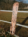 Public General 2025 Snowboard
