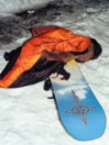 Public Dispute 2025 Snowboard