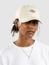 Dickies Hardwick Casquette