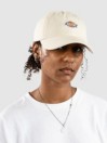 Dickies Hardwick Cap