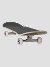 DGK Bendicon 8.25" Komplette