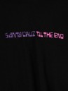 Santa Cruz Echo Camber T-Shirt