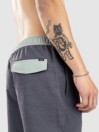 O'Neill Og Solid Volley 16" Boardshorts