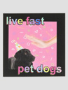 Dogecore Live Fast Pet Dogs St Tarra