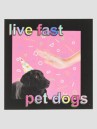 Dogecore Live Fast Pet Dogs St Tarra