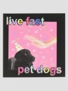 Dogecore Live Fast Pet Dogs St Sticker