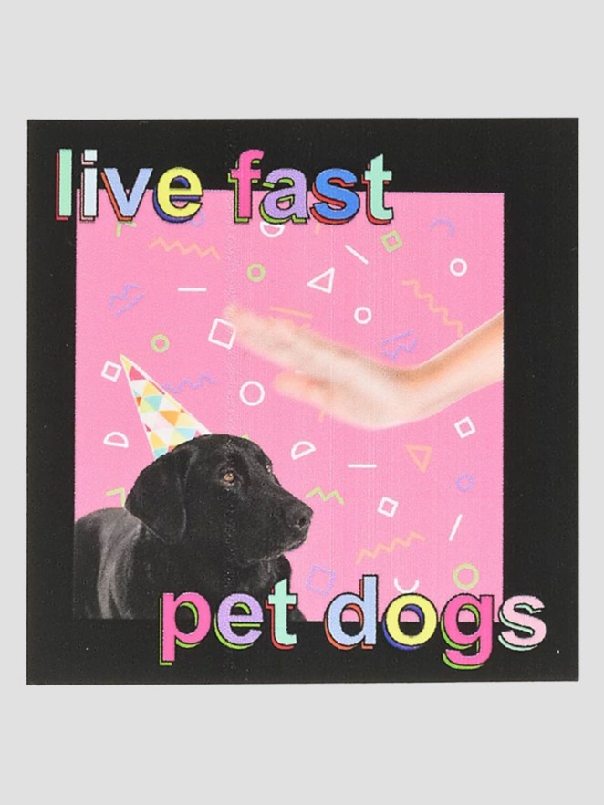 Dogecore Live Fast Pet Dogs St Sticker