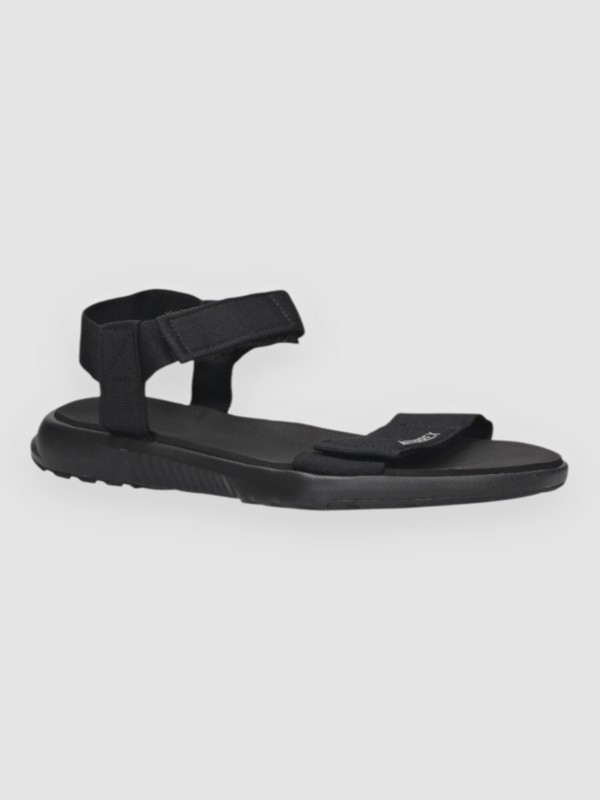 adidas Terrex Hydroterra Light Sandalen grefou
