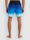 Billabong All Day Fade Boardshorts