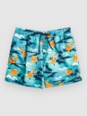 Billabong Island 16 Lb Boardshorts