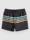 Billabong Fade 16 Lb Boardshorts