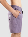 Billabong Every Other Day Boardshorts