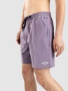 Billabong Every Other Day Boardshorts
