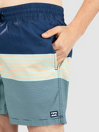 Billabong All Day Stripe Lb Boardshorts