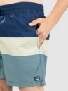 Billabong All Day Stripe Lb Boardshorts
