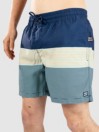 Billabong All Day Stripe Lb Boardshorts