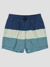 Billabong All Day Stripes Lb Kids Boardshorts