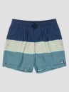 Billabong All Day Stripes Lb Kids Boardshorts