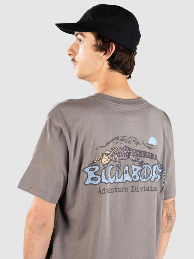 Billabong Lizard Mountain Adiv T-Shirt