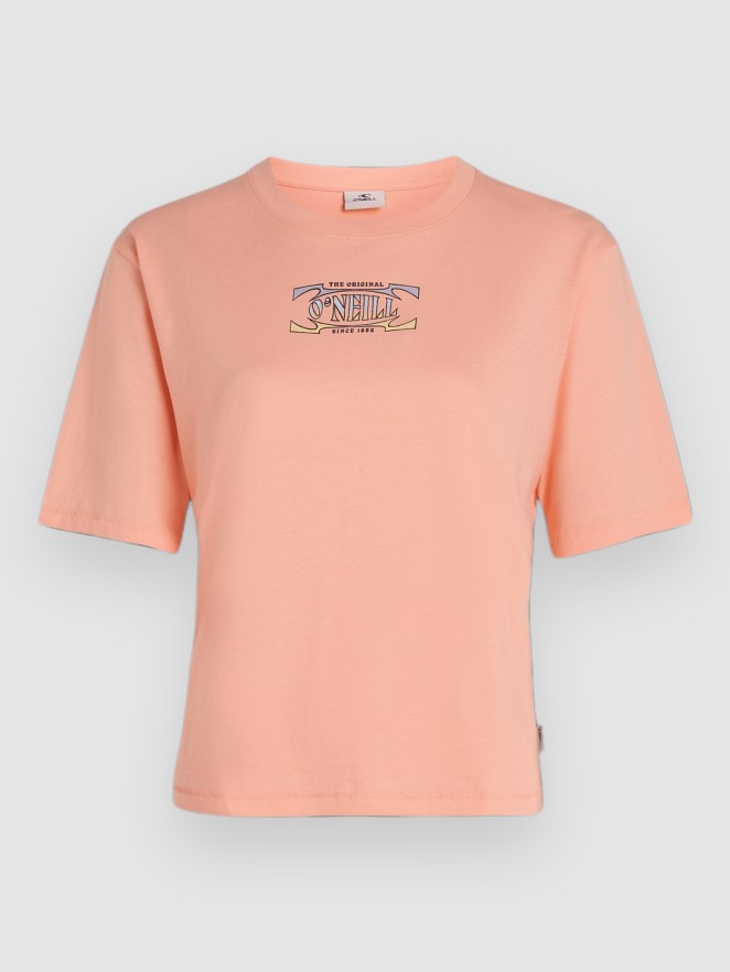 O'Neill Summer Musthaves Back Print T-Shirt